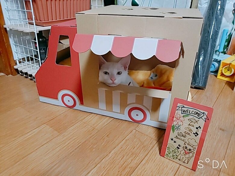 カフェをオープン