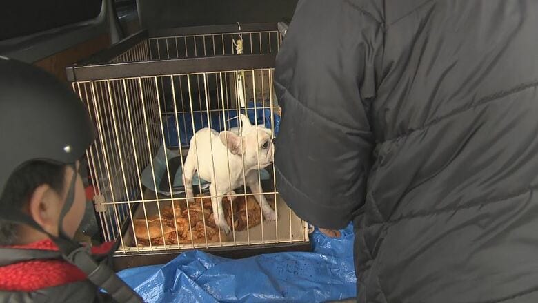 車の中で犬を…（七尾市・1月10日）