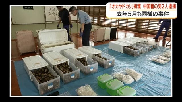 2025年5月の事件