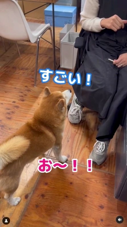 提供：エイトデザイン