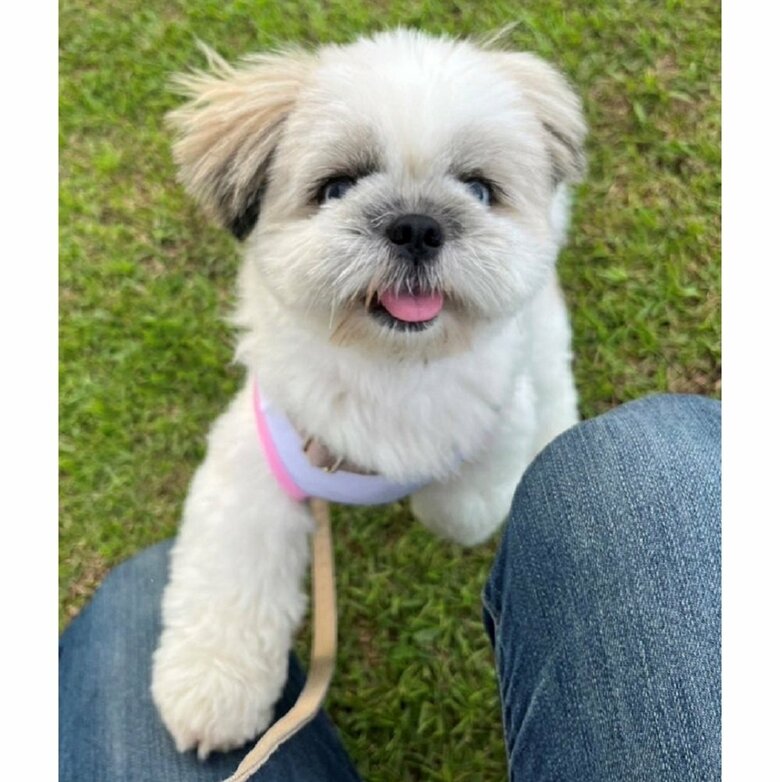 楽しそうな表情