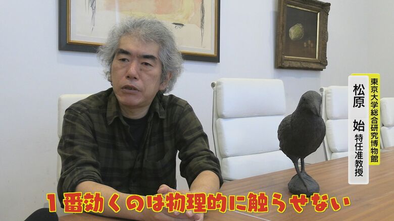 カラスの生態に詳しい松原始特任准教授