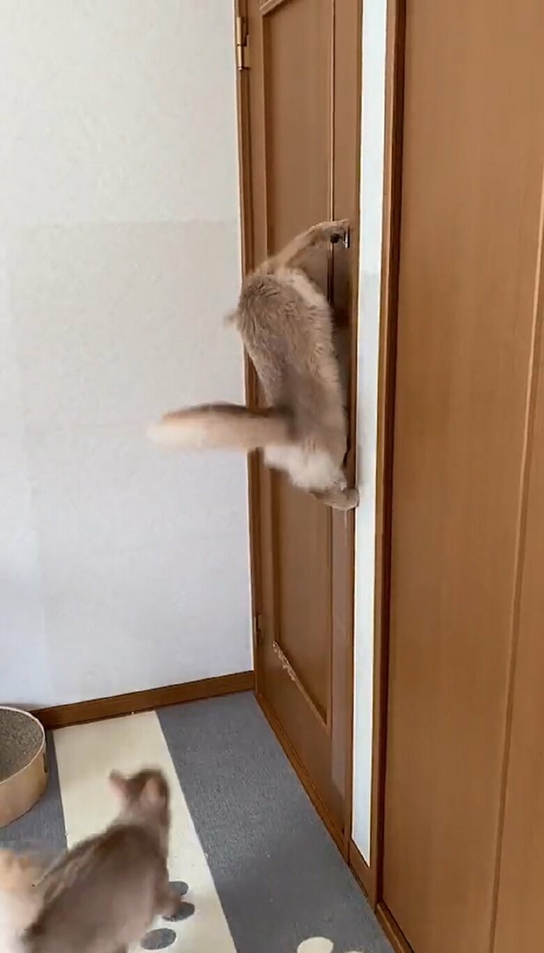 下からは凪くんが走ってきて…