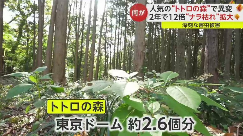 希少な生物が息づく、貴重な場所