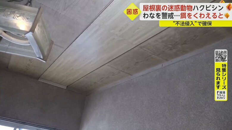 シミの酷かった天井を張り替え、全ての作業が完了