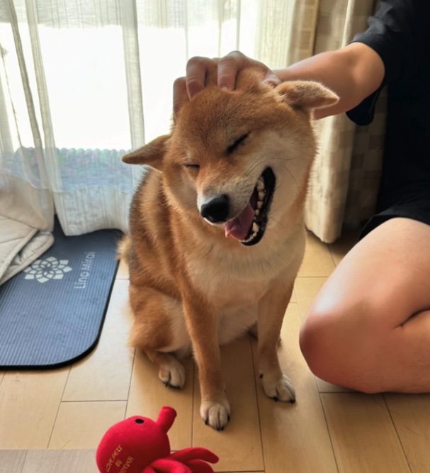 提供：はちさん