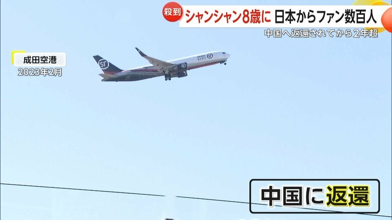 2023年2月に中国に返還されたパンダのシャンシャン