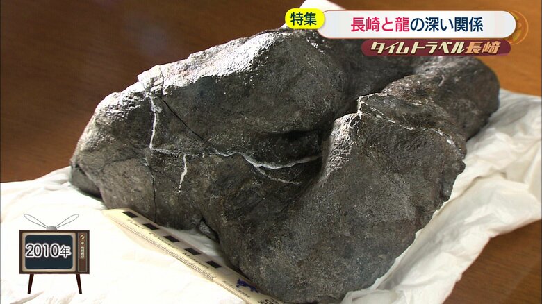 長崎市野母崎地区の海岸で発見された恐竜の一部とみられる化石