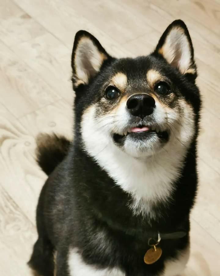 提供：まめふく&ゆめくりさん