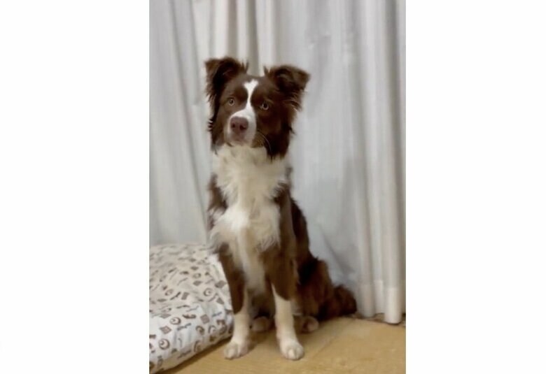 注意されてやめたゆにちゃん（提供：ゆに＆メッシさん）