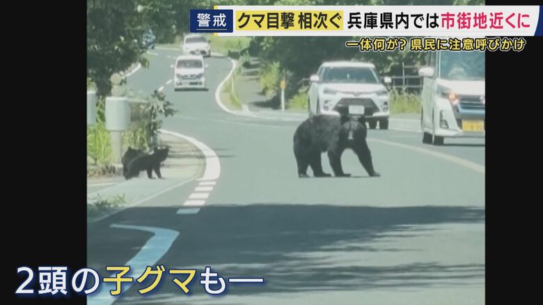 京都府京丹後市のインターチェンジ付近にクマ出没