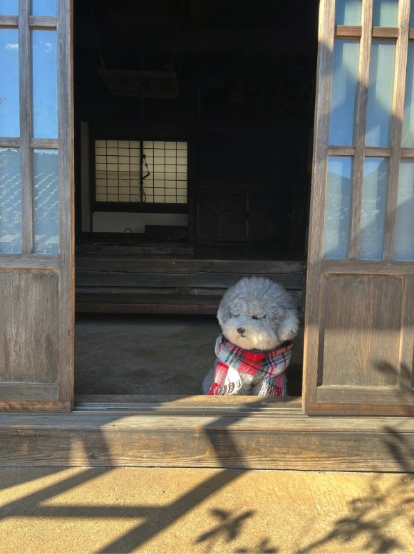 提供：レノン&れあるさん