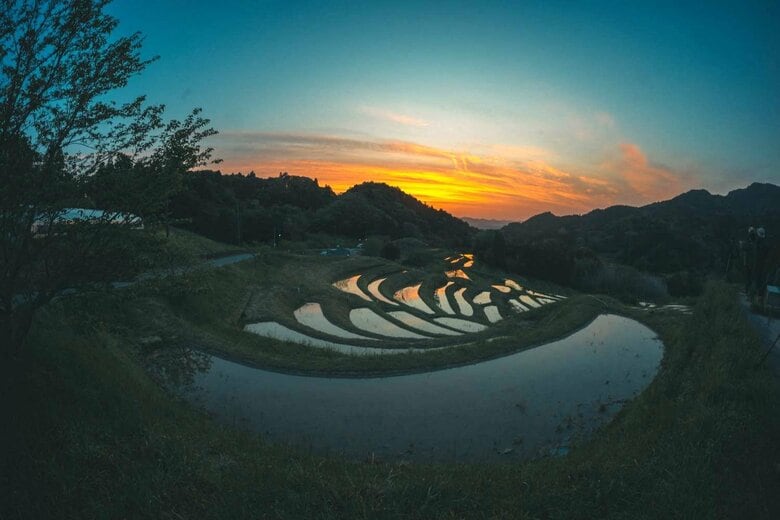千葉県　大山千枚田（2024年4月撮影）