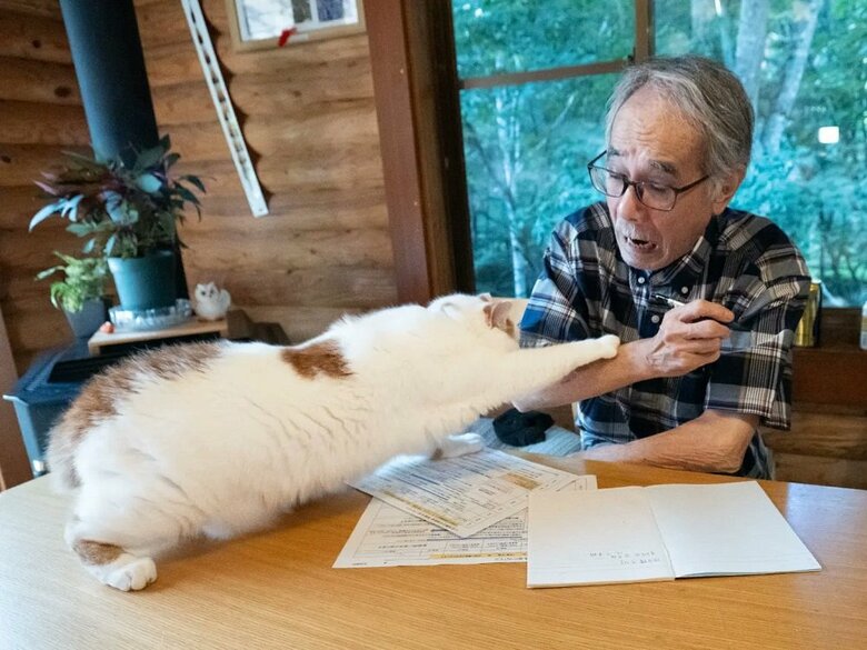 メイくんが突然パンチ！（提供：MARCOさん）