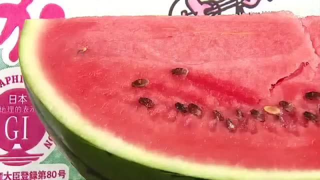 台風6号にヤキモキ…中東情勢の影響で資材不足のダブルパンチも　鳥取特産「大栄西瓜」懸念の中で初出荷