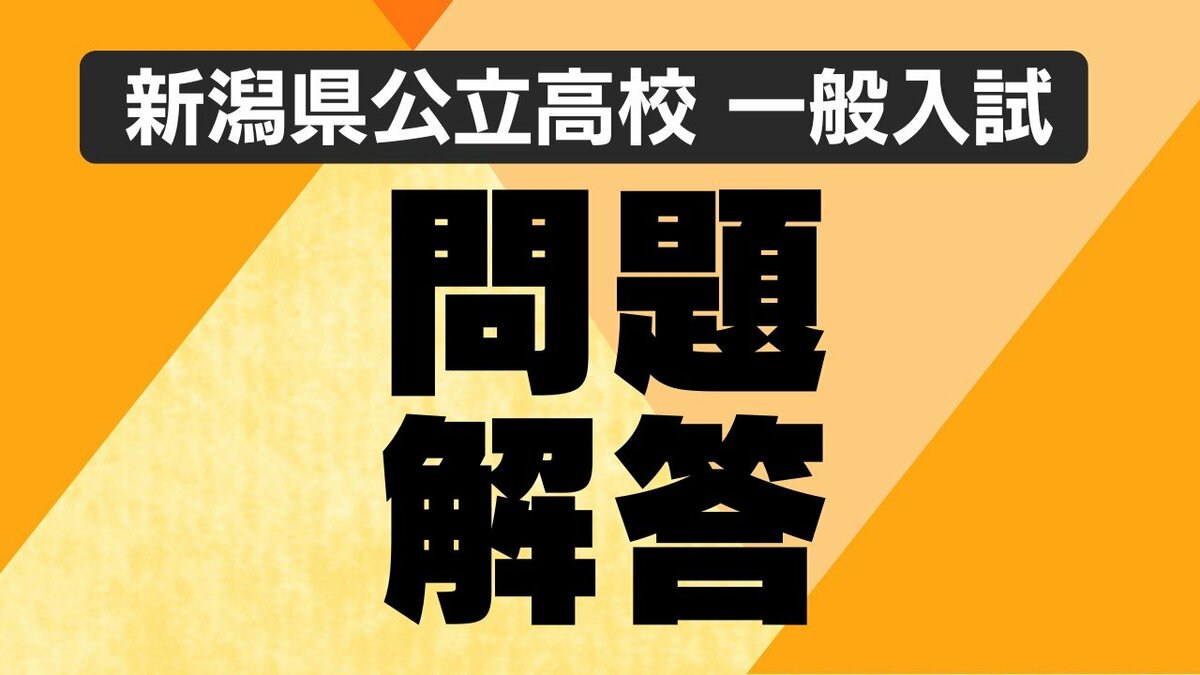 【値下げ交渉可】入試英語問題集 解答・解説セット 解答の商品一覧