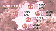 サクラの開花予想は？　松本城は開花が近そう　長野市は4月に入ってからか　飯田市はこの土日が見ごろ？　気象予報士が解説