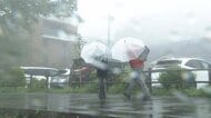 暑さから一転　列島でぐずつく天気「梅雨のはしり」　関東などで強風と気温低下　土砂災害リスクも