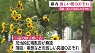 20日の県内 激しい雨のおそれ　落雷や突風などにも注意を【佐賀県】