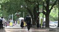 「またあのストレスに向き合うのか」GW明けに増加する五月病のリスク　不調を改善する有効な「自分の喜ばせ方」とは