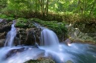 遭難から8日　持参の食料でしのぎ救助　沢登り中、鉄砲水で流された56歳女性　重傷負い衰弱も意識あり　群馬・みなかみ町