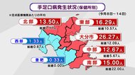 過去10年間で2番目の多さ“手足口病”　3週連続で警報レベル「大人が子供にうつす恐れも」大分