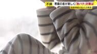 「体がだるい」…それは「秋バテ」かも 一気に冷え込んで体調に異変 今からできる対策を紹介 福岡