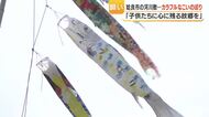 姶良市・思川「こいのぼり」高さ約15mが空に舞う　子どもの日に河川敷を彩る