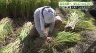 たとえ廃棄でも…「有意義な一歩」全町避難が続く町でのコメ作り やがて来る営農再開に向け【福島発】