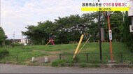 秋田市の住宅街でクマの目撃相次ぐ