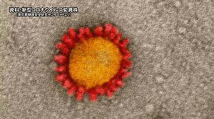 変異ウイルス感染は計100人に…新型コロナ 新規感染者20人 10代-90代以上で軽症か無症状 富山
