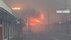 【ハワイ・マウイ島山火事】「火から逃れ海に飛び込む人も…」家族旅…