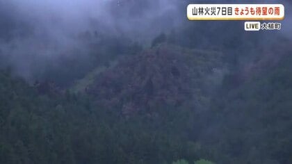 岩手・大槌町山林火災　発生（4月22日）から7日目　港町の防潮堤から中継