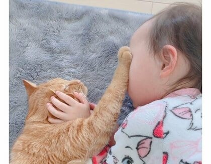 「そこまでや」女の子の“むぎゅむぎゅ”暴走を前足で阻止する猫の攻防がかわいい…関係性を聞いた