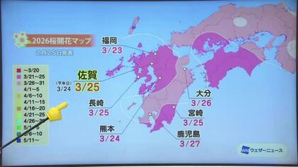 「桜の開花には休眠打破が必要」佐賀県は3月25日開花予想【佐賀県】