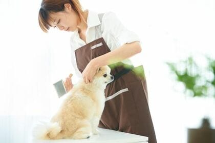 【キャリアカウンセラー400人が選出】 9月のおすすめ講座ランキングを発表 1位はペット・トリマー講座
