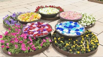 長野市の表参道を花で飾る「善光寺花回廊」開幕　水に浮かべた花や高校生のタペストリーガーデンも
