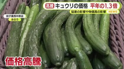 キュウリの価格　平年の1.3倍　猛暑の影響や物価高の影響　消費者「ちょっと高い」嘆きの声　生産者は徹底した対策
