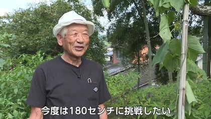 img_dd60e823b73c6b96326e52e1c8