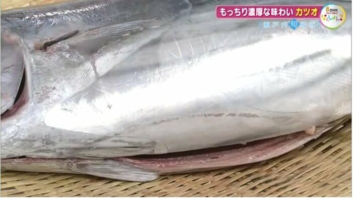 本カツオのお腹は銀白に輝く「メタリック」な見た目