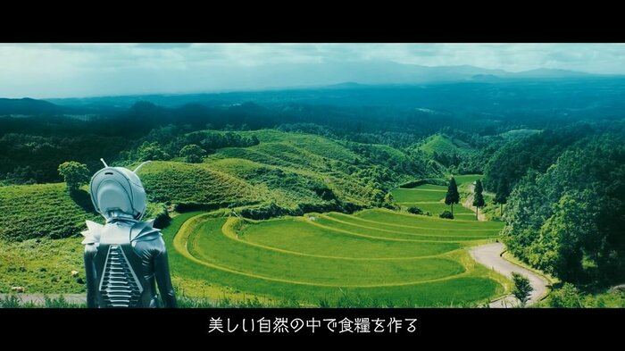 「扇棚田」