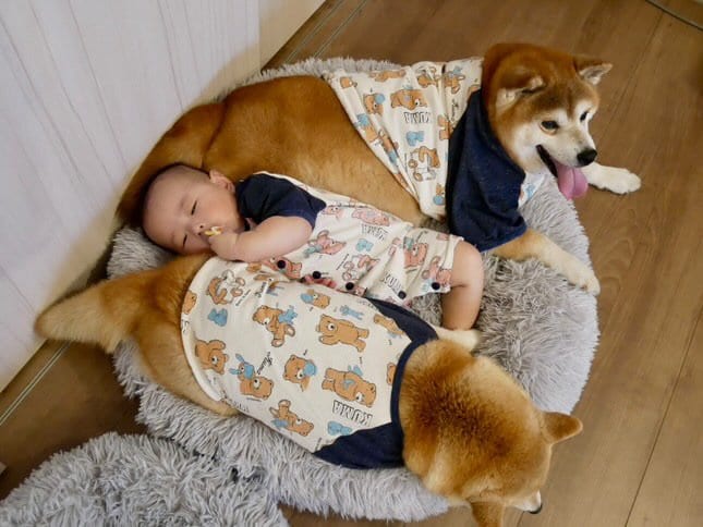 ぎゅうぎゅう