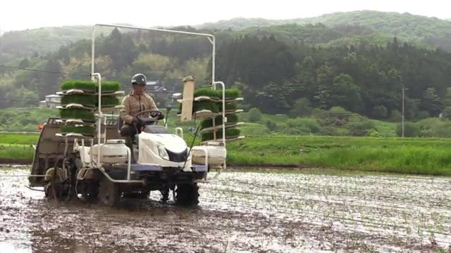 酒米の田植えをする丹野友幸さん(福島県福島市)