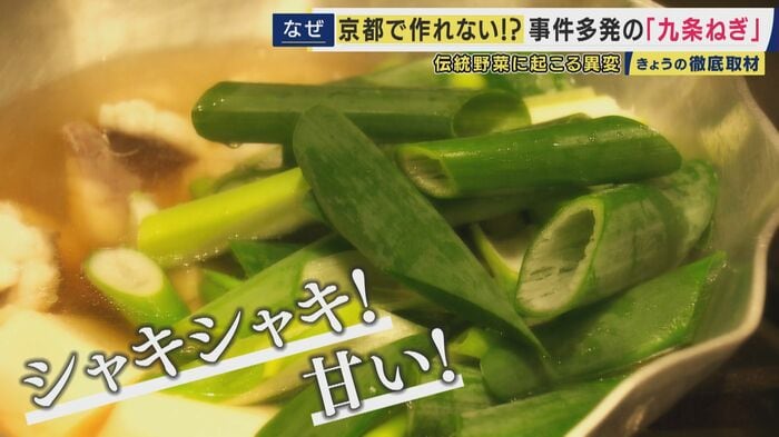 1000年以上の歴史を持つ京都の伝統野菜「九条ねぎ」