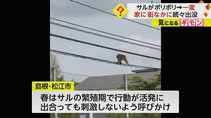 (ビデオPost Fnn投稿サイト)