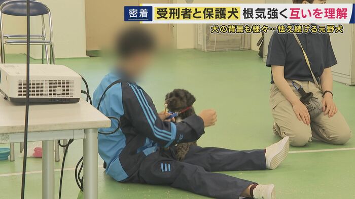 受刑者による「保護犬育成プログラム」