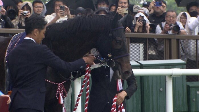 前走の青葉賞を制したエネルジコ