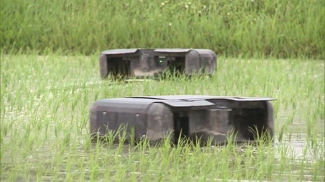 抑草効果を最大限に引き出すための、ほ場の条件や水管理・稼働時間などのポイントもある