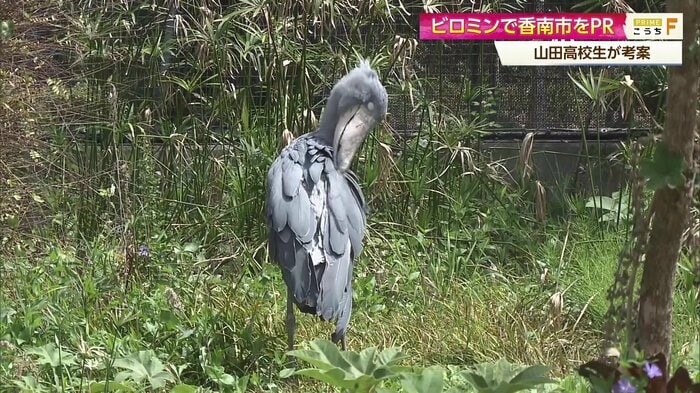 モチーフになったのいち動物公園のハシビロコウ