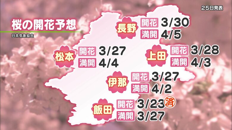 サクラの開花予想は？　松本城は開花が近そう　長野市は4月に入ってからか　飯田市はこの土日が見ごろ？　気象予報士が解説｜FNNプライムオンライン